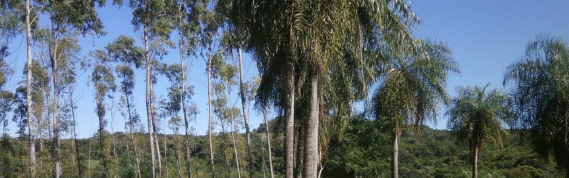 Schönes Grundstück à 42 Hektar in Ñumí